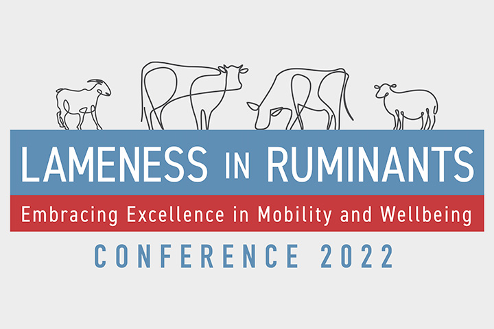 Lameness in Ruminants Conference